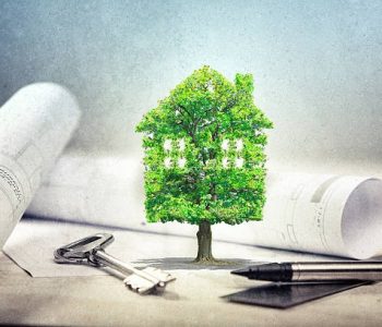 domek-drzewo-na-stole